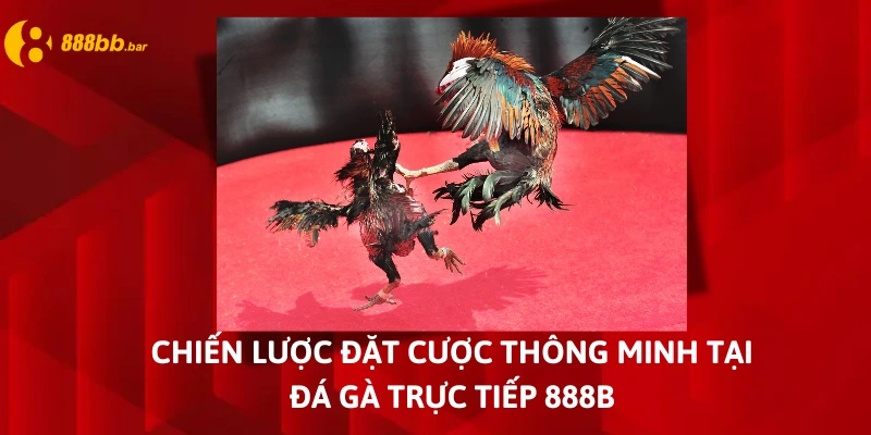 đá gà trực tiếp