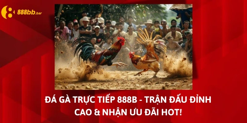 đá gà trực tiếp