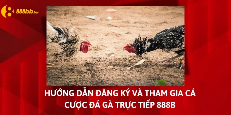 đá gà trực tiếp