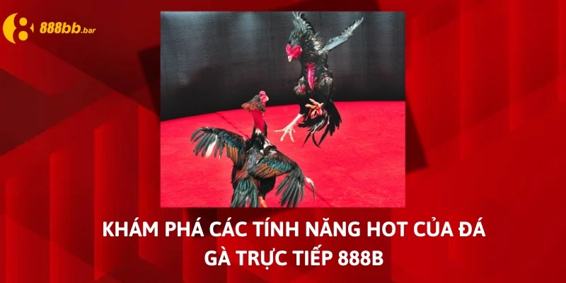 đá gà trực tiếp