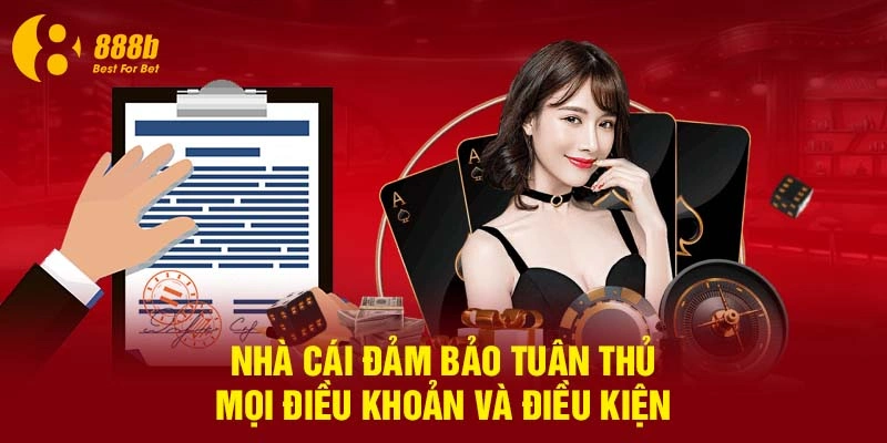 Điều khoản điều kiện 