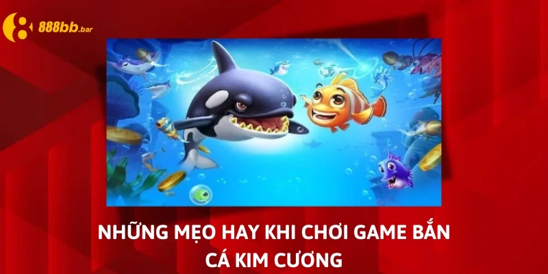 Bàn cá kim cương